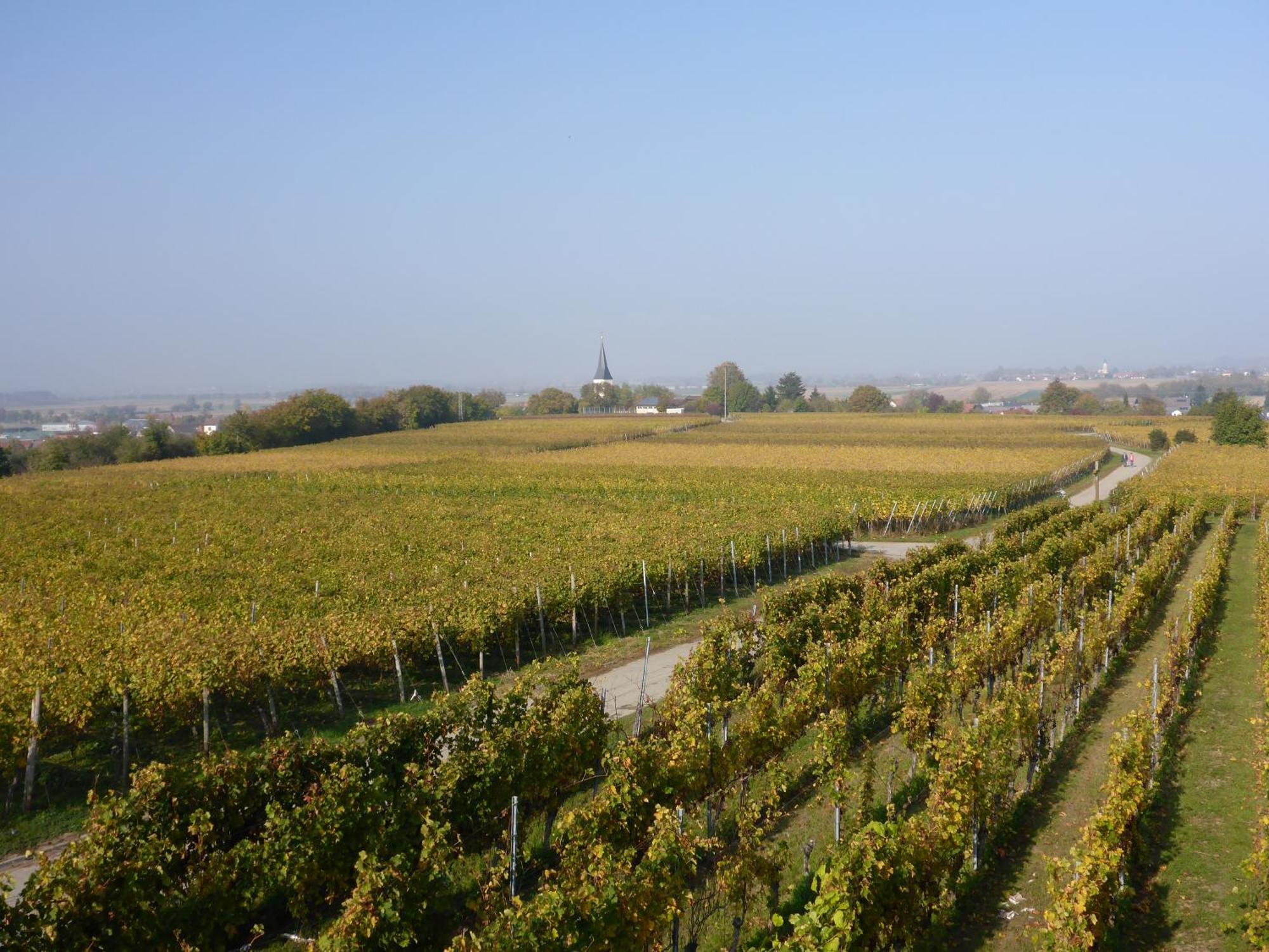 Ferienwohnung Weyl Eschbach  ภายนอก รูปภาพ